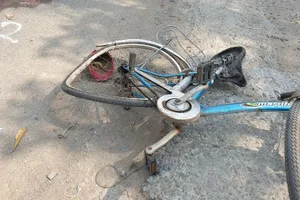 Người phụ nữ đi xe đạp bị cuốn vào gầm ô tô tử vong