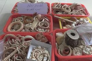 Phát hiện 21 kg sản phẩm làm từ động vật quý hiếm