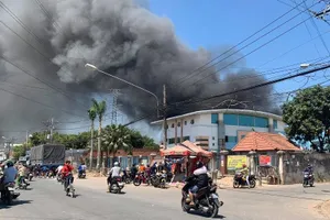 Bình Dương: 1 công ty bị cháy do cháy cỏ khô lan sang