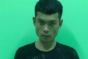 Níu kéo tình cảm không thành, thanh niên sát hại người tình