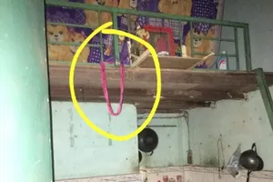 Nhắn tin xin tiền mai táng trước khi tự tử 