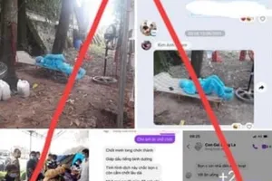 Lên Facebook đăng thông tin quyên góp hỗ trợ COVID-19 sai sự thật