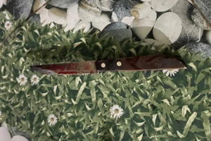 Bình Dương: Em trai đâm chết anh ruột vì chuyện đậu ô tô