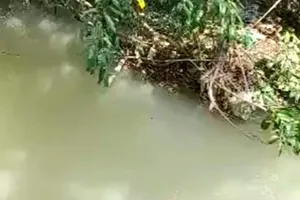 Tìm thấy thi thể bé trai 2 tuổi bị mất tích ở Bình Dương