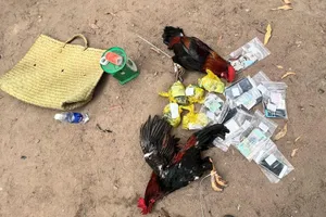 Triệt phá trường gà phía sau một vựa phế liệu ở Bình Dương