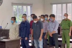 'Cò' đất hùn vốn mở nhiều công ty, lừa khách hàng gần 29 tỉ