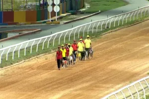 Sở TT&TT Bình Dương: Bà Hằng tiếp tục thách thức xã hội, cơ quan chức năng