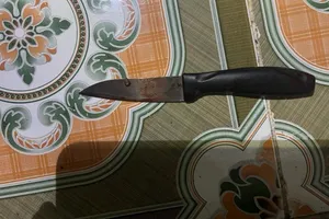Chồng đâm chết người đàn ông ở cùng vợ trong phòng trọ