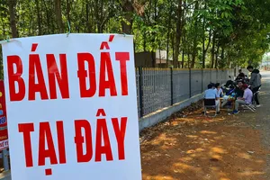 Bình Phước: Siết chặt quản lý không để người dân tộc thiểu số bị lừa bán đất