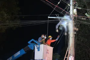 1 nhân viên công ty viễn thông tử vong trên cột điện