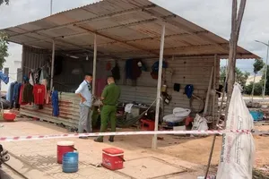 Bình Dương: Bị người làm thuê sát hại vì mâu thuẫn tiền công