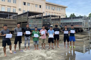 Bình Dương: Nhóm người chuyên đánh tráo heo thịt để trục lợi bị bắt