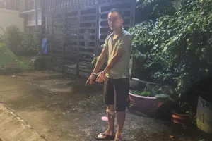 Đang được tại ngoại vẫn tiếp tục đi trộm 