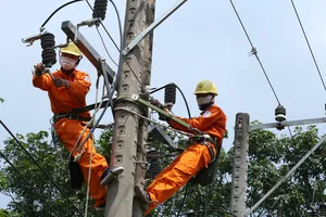 Điện lực Bình Dương đảm bảo cung cấp điện ổn định cho các khu công nghiệp