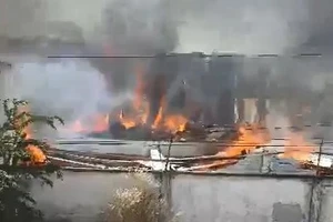 Cháy dữ dội một công ty gỗ ở Bình Dương