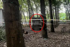 Thông tin mới vụ nữ chủ quán karaoke ở Bình Dương chết bí ẩn