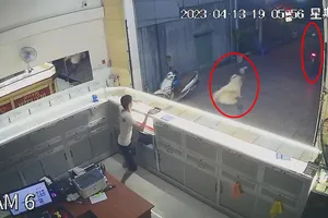 Bình Dương: Camera ghi cảnh giả vờ hỏi mua vàng rồi giật 