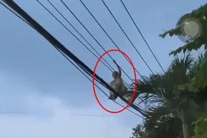 Thót tim cảnh 1 phụ nữ đi trên đường dây điện trung thế