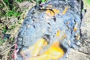 Tình tiết mới vụ 1 phần thi thể bị đốt ở Bình Dương: Nạn nhân không phải nữ