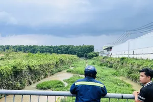 Bình Dương: 2 người đi câu cá bị cướp tấn công, lấy xe 