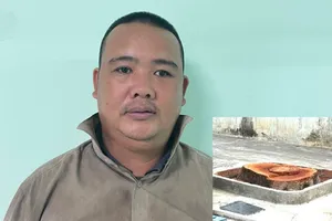 Bình Dương: Thuê xe cẩu cưa trộm 2 cây xà cừ ở vỉa hè