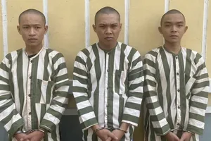 Tin quảng cáo ‘việc nhẹ lương cao’, bé gái bị bắt giữ để làm massage