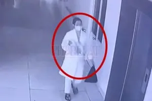 Lời khai của cô gái trẻ bắt cóc bé gái sơ sinh ở Bình Dương