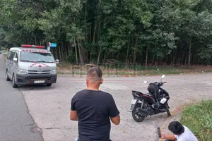 Bình Dương: Nam bảo vệ tử vong trong tư thế treo cổ trên cây