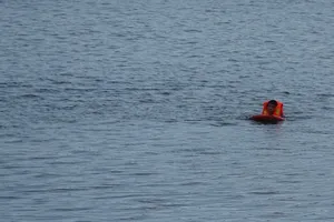 Tập luyện để dự giải đua thuyền, một người mất tích dưới sông Đồng Nai