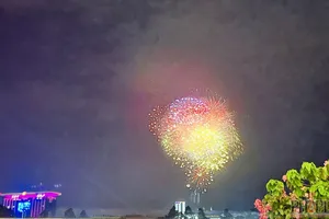 Bình Dương bắn pháo hoa chúc mừng Tết Dương lịch 2024