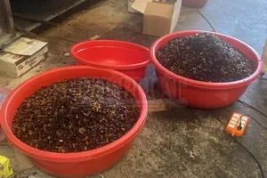 Bình Dương: Phát hiện 1 công ty hô biến ‘nho khô Ấn Độ’ thành ‘nho khô Mỹ’