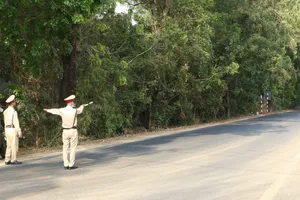 Giám đốc Công an Bình Dương chỉ đạo xử lý nghiêm vi phạm giao thông