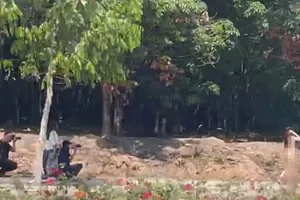 Vụ cô gái khỏa thân trên đường: Đang làm việc với thợ chụp ảnh 