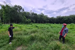 Bình Dương: Khởi tố 9 người liên quan đến lĩnh vực bất động sản