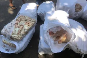 CSGT Bình Phước phát hiện 8,5 tấn nội tạng bốc mùi hôi thối