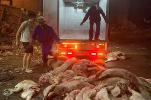 Công an phát hiện hơn 1,7 tấn thịt heo không rõ nguồn gốc 