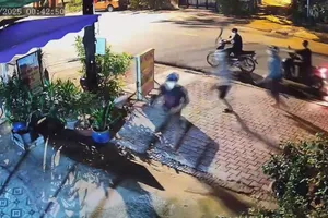 Bình Dương: Công an tạm giữ nhóm thanh niên dùng hung khí 'dẹp quán ăn' 