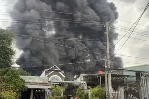 TP.HCM: Một công ty trong khu dân cư đang cháy lớn