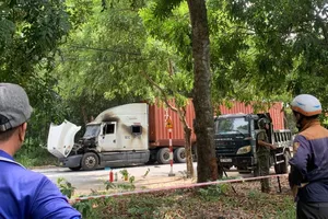 Nghi ghen tuông, người đàn ông đâm đôi nam nữ rồi tự thiêu trên cabin xe container