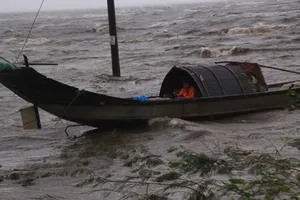 Nhiều tàu cá chìm trên vùng biển Đà Nẵng