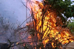 Đà Nẵng nắng nóng đến 42 độ C