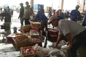 Đối thoại với ngư dân Đà Nẵng về vụ cá chết