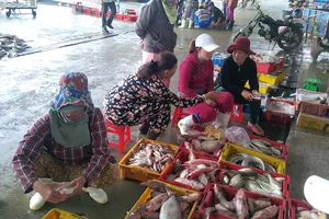 Đà Nẵng: Thành lập ban chỉ huy tiền phương tại cảng cá