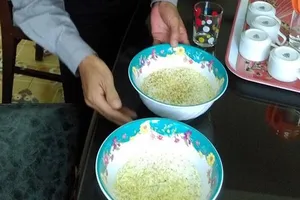 Gạo trắng ngâm chuyển thành màu xanh là do... nấm mốc