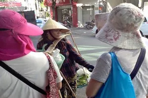 Tước giấy phép lữ hành có thời hạn một công ty du lịch 