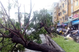 Đề nghị hỗ trợ khẩn cấp 3 máy đo gió