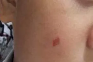 Cô giáo vào trường tát đồng nghiệp bị phạt 7 triệu đồng