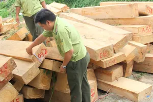 Kỷ luật Đảng một loạt cán bộ biên phòng, hải quan