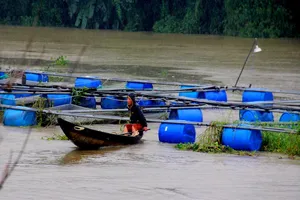6 hồ thuỷ điện đang xả tràn, 3 người chết do lũ