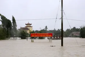 Các tỉnh miền Trung đề nghị cứu đói khẩn cấp